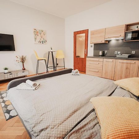 Elegant Studio, 400M From The Square Apartment Plzen Bagian luar foto