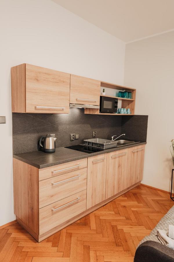 Elegant Studio, 400M From The Square Apartment Plzen Bagian luar foto